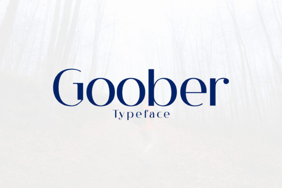 Goober Font: Modern Display Typography for Web Design